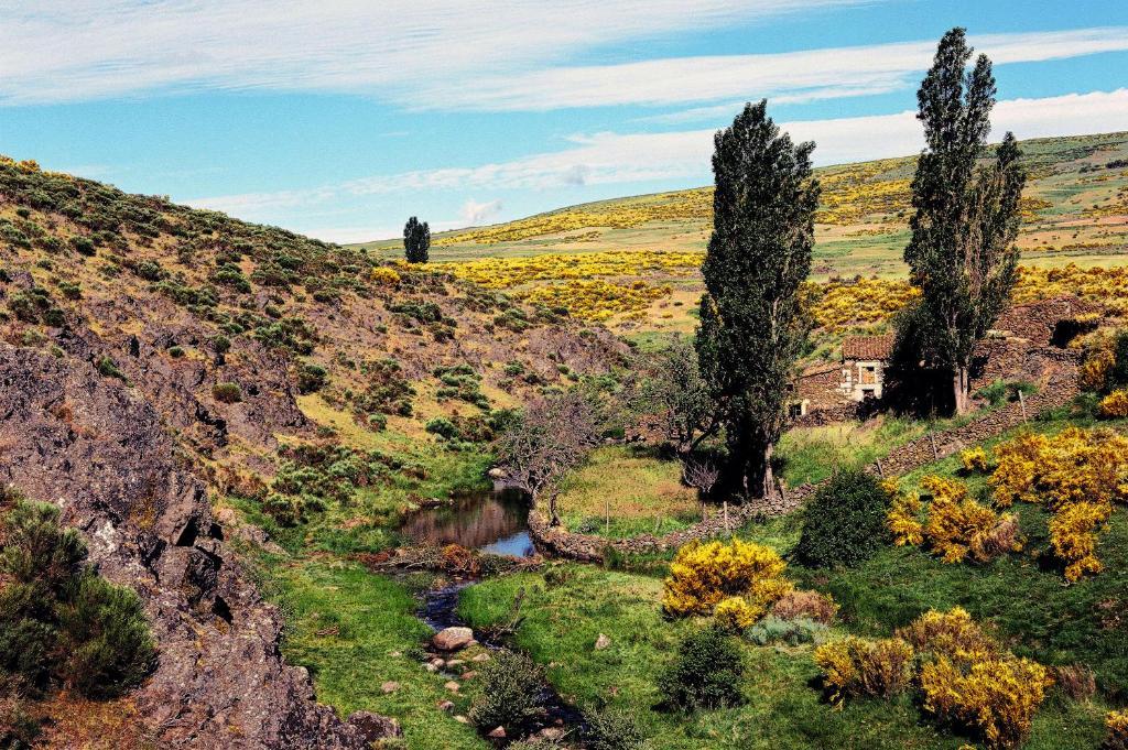 Hotel Rural La Dehesilla Barajas de Gredos Exterior foto